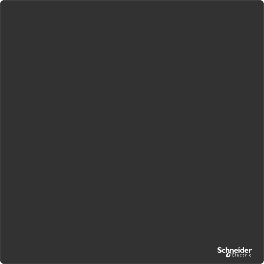 Schneider Harmony XB5 Legend plate 300