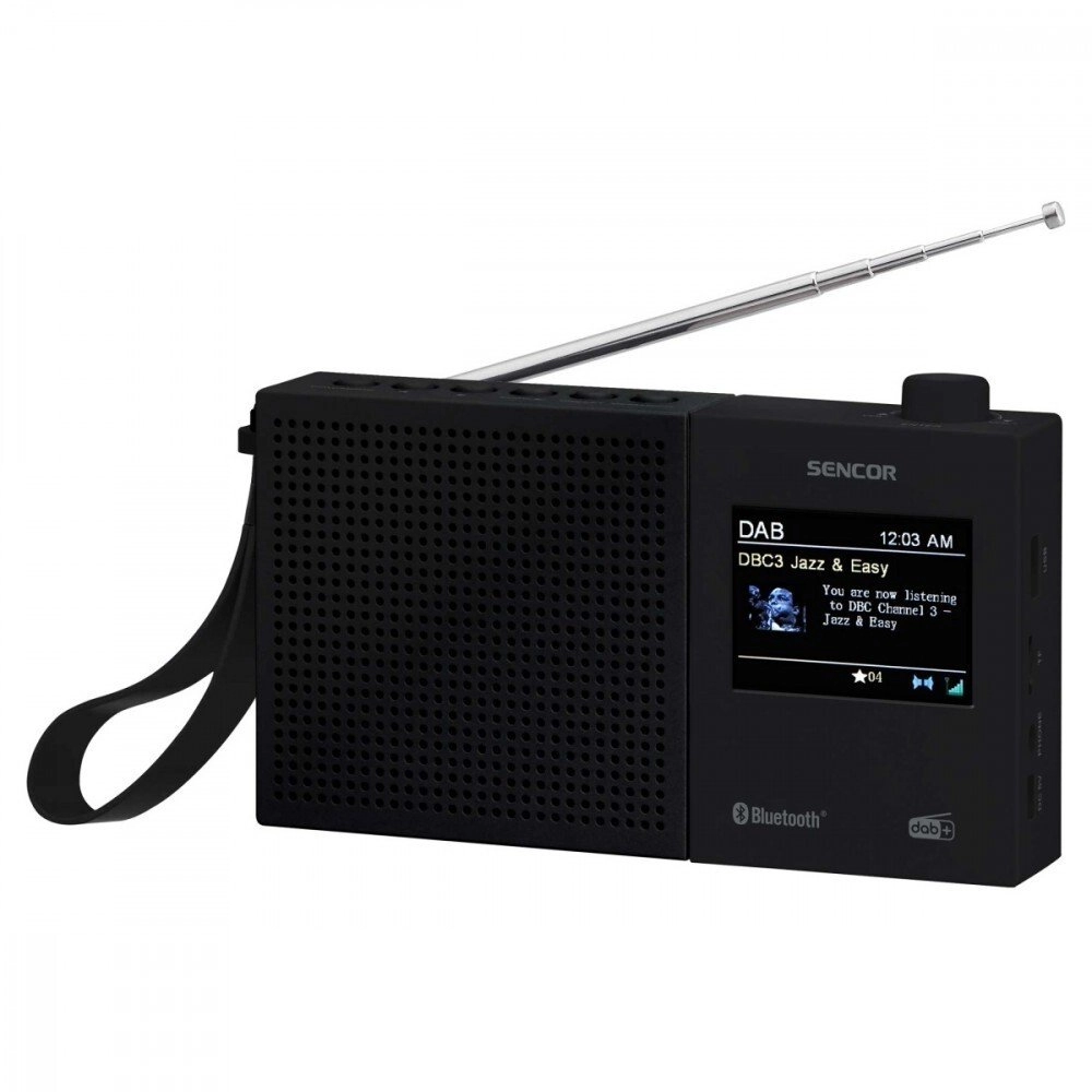 Radio cyfrowe DAB+ FM RDS SRD