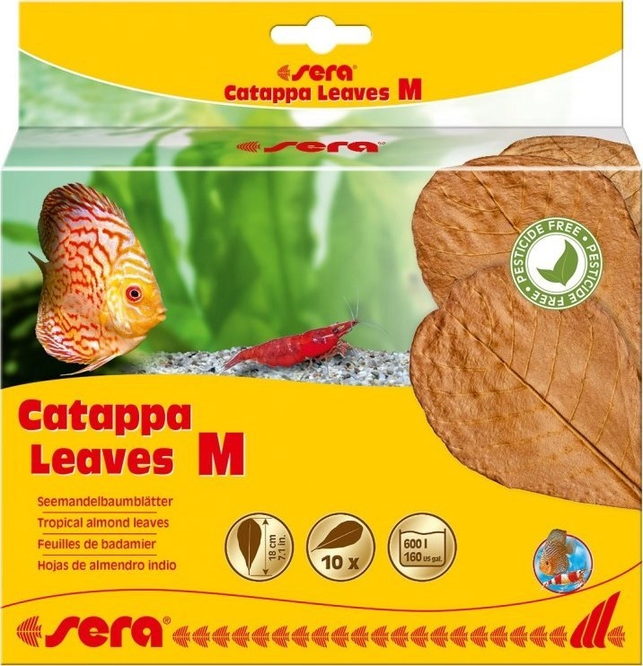 Sera Almond leaves - Catappa leaves