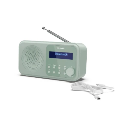 Sharp DR-P420 Portable Digital Green DR-P420(GN)