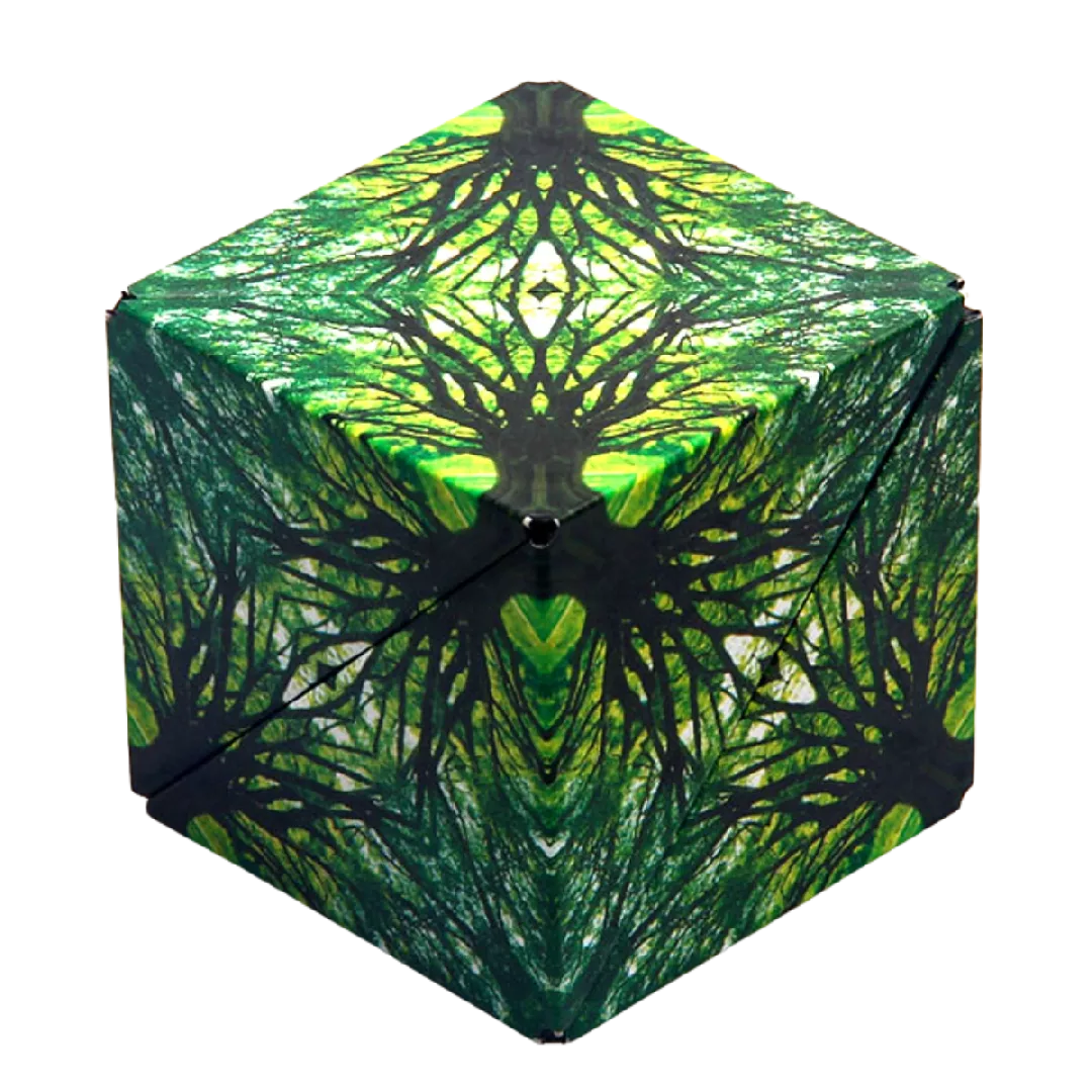 Shashibo Original Series Magnetic puzzle Shapes