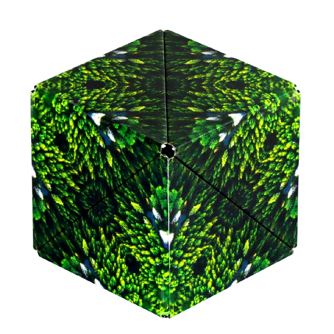 Shashibo Wild Series Magnetic puzzle Shapes