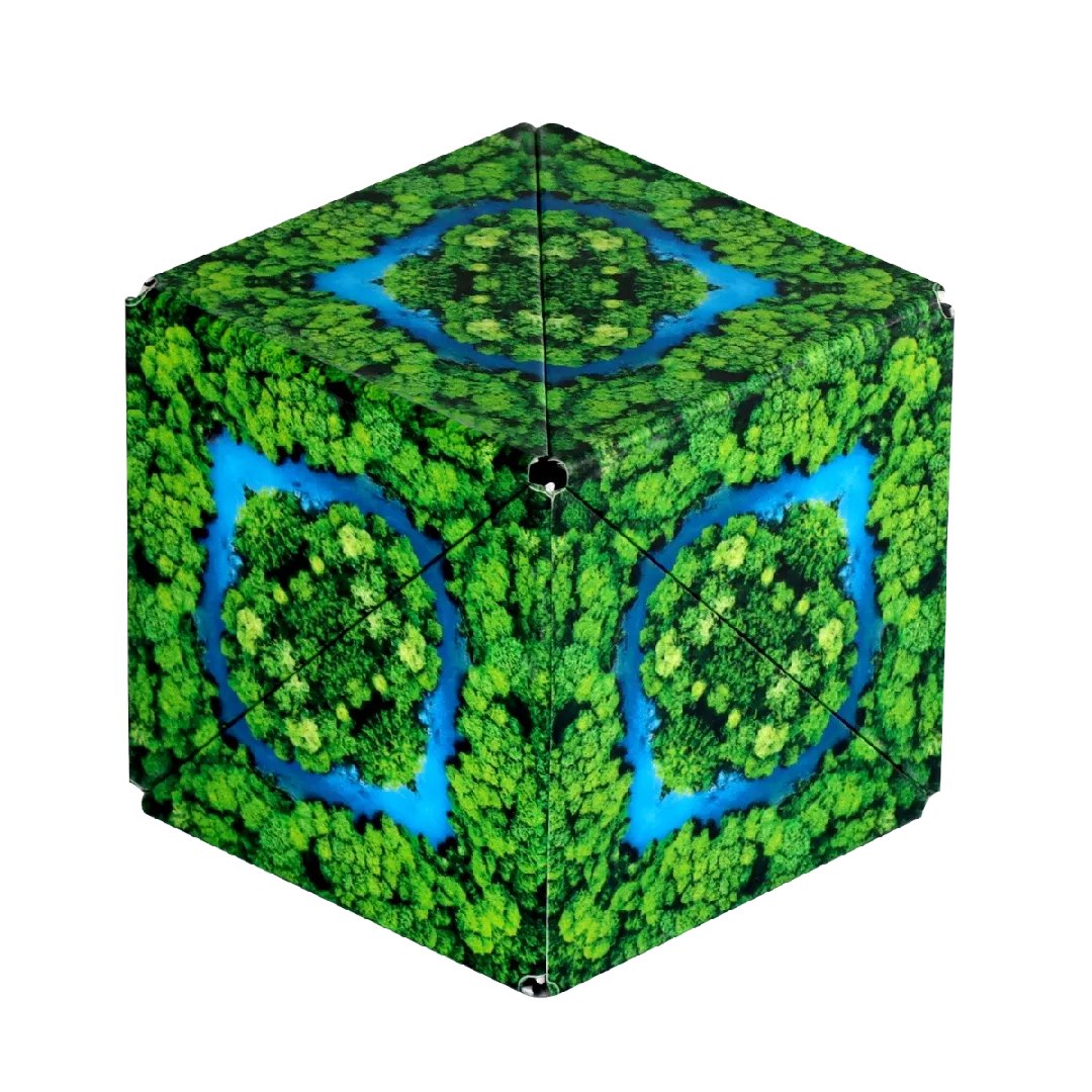 Shashibo Wild Series Magnetic puzzle Shapes