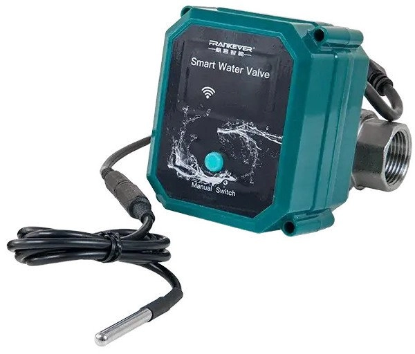 Shelly Plug  Play ``PbS FrankEver Smart