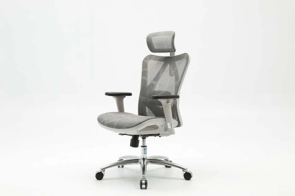 Sihoo M57 ergonomic office chair gray