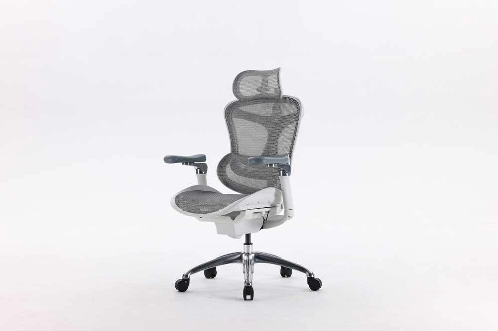 Sihoo Doro C300 ergonomic office chair