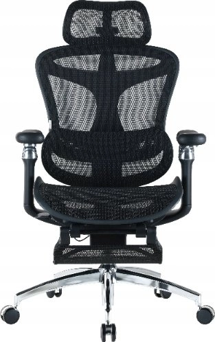 Sihoo DORO C300 Pro Mesh office