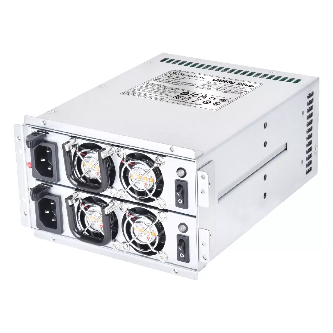 Silverstone GM600 Silver barošanas avotu vienība 1200 W 20+4 pin ATX PS/2 Sudrabs