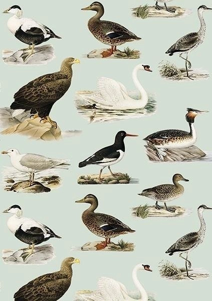 ST408 B6 pass + Birds envelope