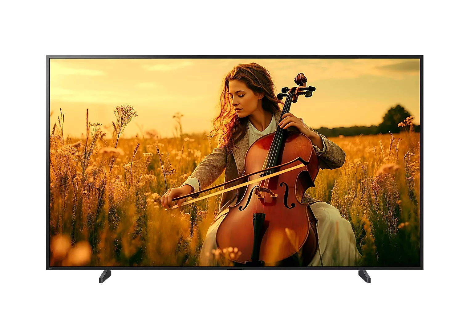 Sony K-75XR5 190.5 cm (75"