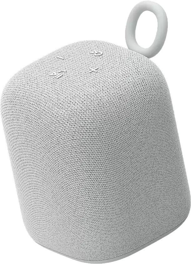 Sony LinkBuds speaker gray (SRSLS1H.CE7)