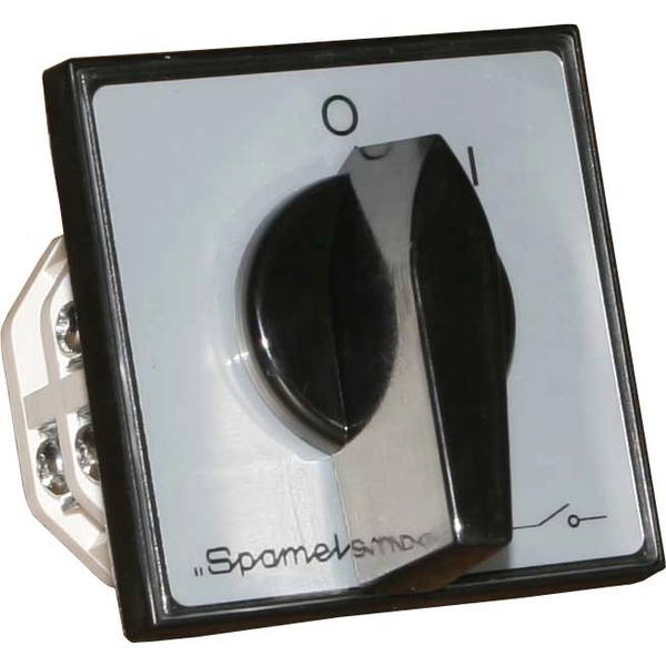 Spamel Cam switch 15A reversing switch