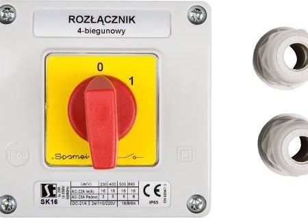 Spamel Cam switch 0-1 4P 16A