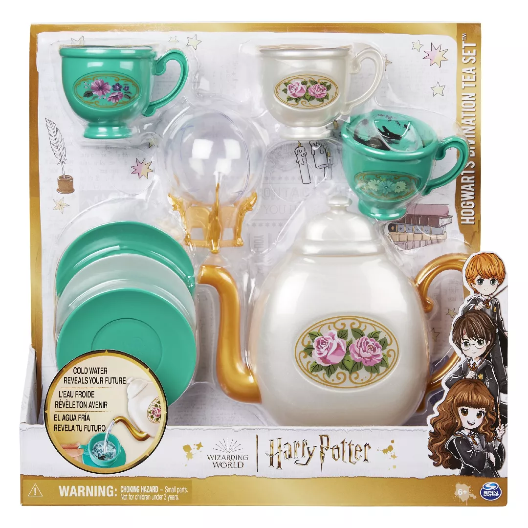 Wizarding World Harry Potter  Hogwarts Role