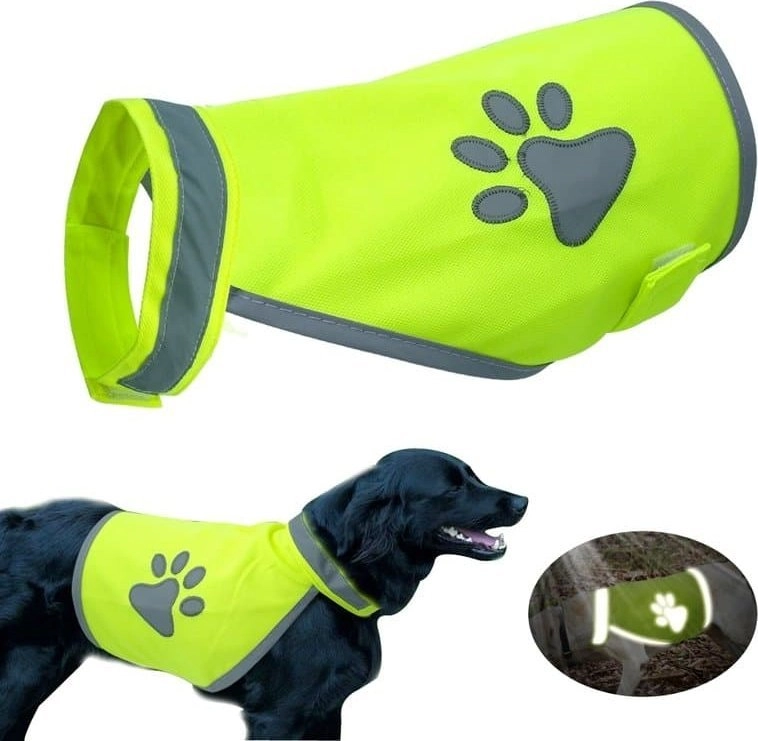 Spin Master Paw Love Reflective dog