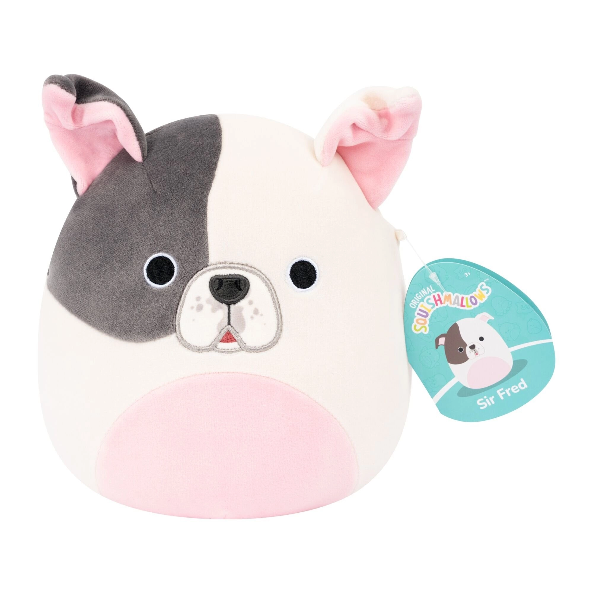 Squishmallows 19 cm P27 - Sir
