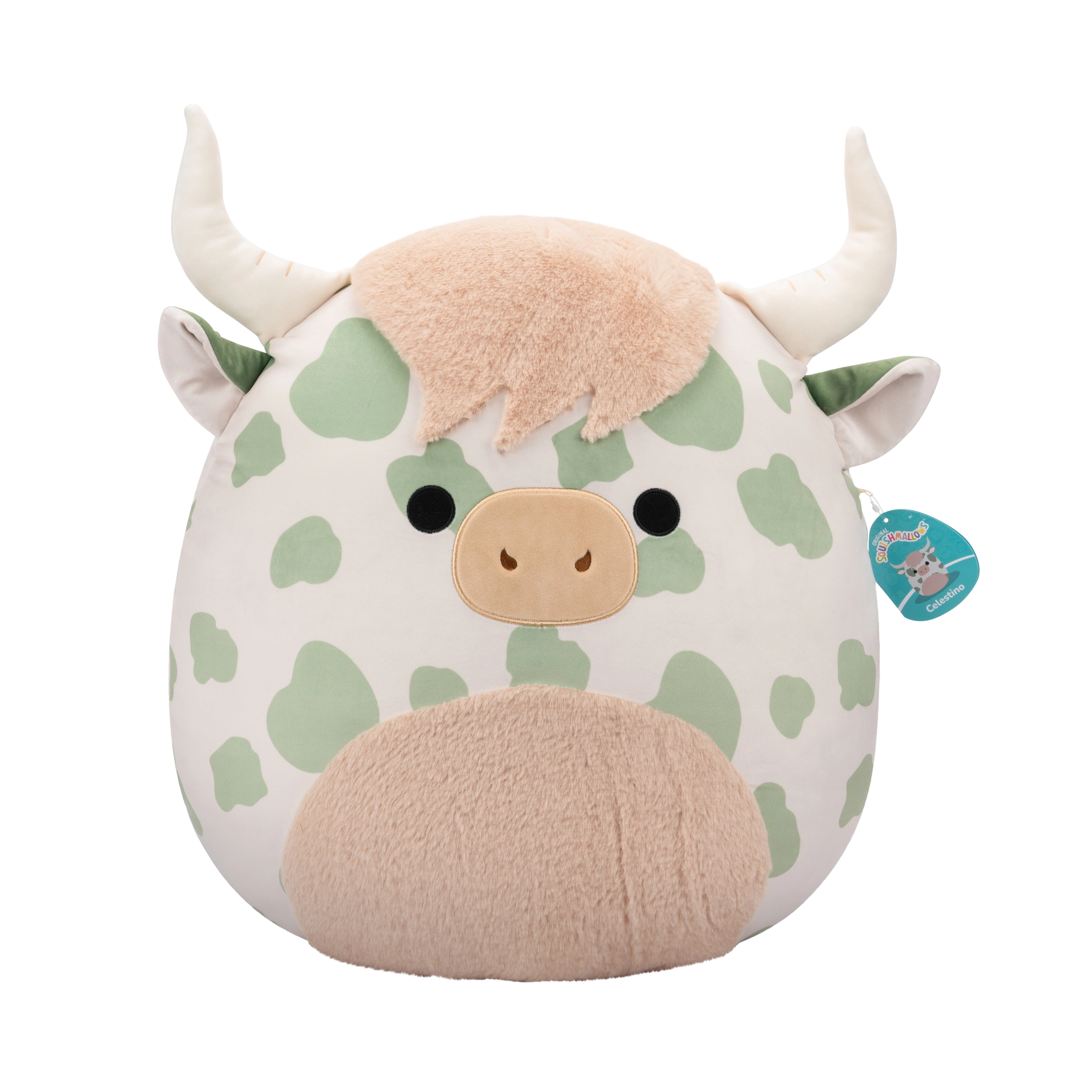 Squishmallows - Celestino Highland Cow 50