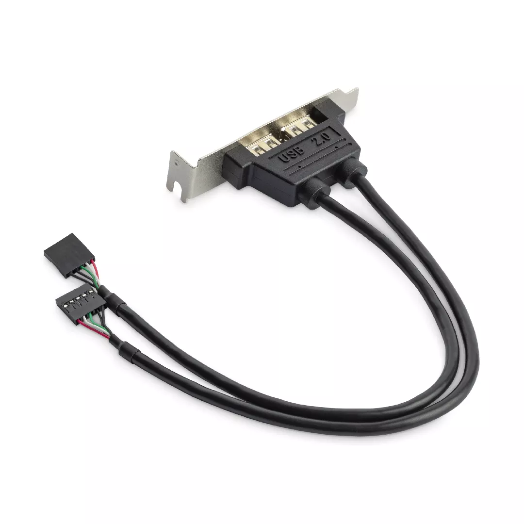 StarTech.com 2 Port USB A