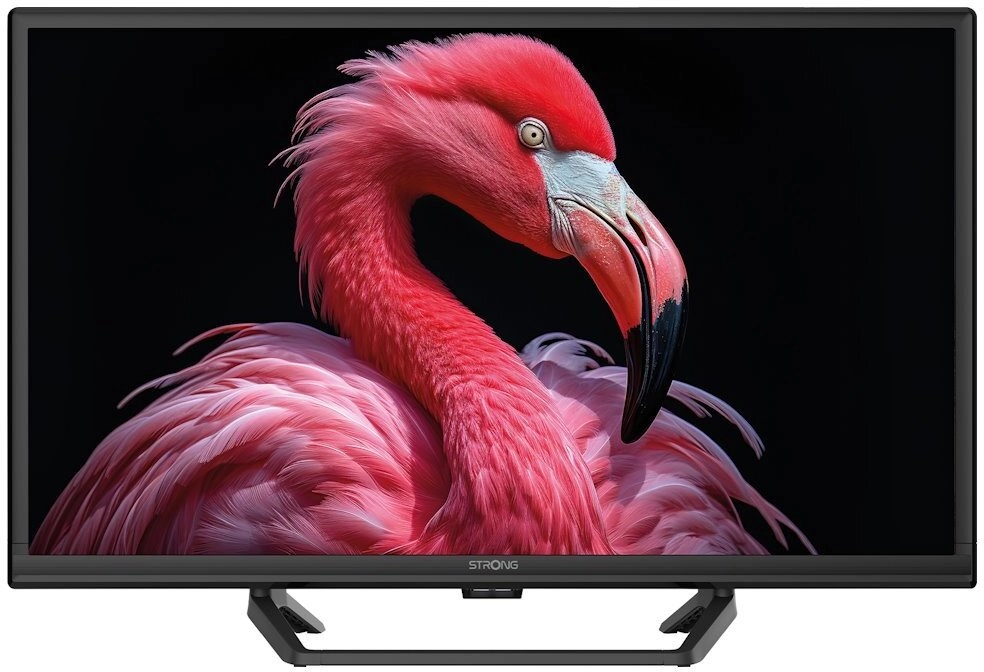 Telewizor Strong TV 24 230/12V Google TV SRT24HG4723C melns