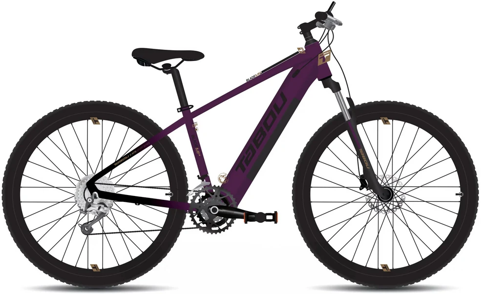 Electric bike Tabou Blade UP ECO