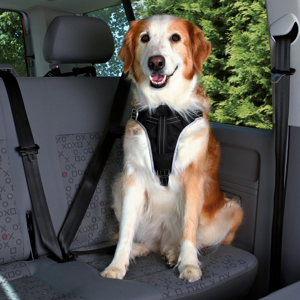 TRIXIE Dog Protect Car Harness TX-12856