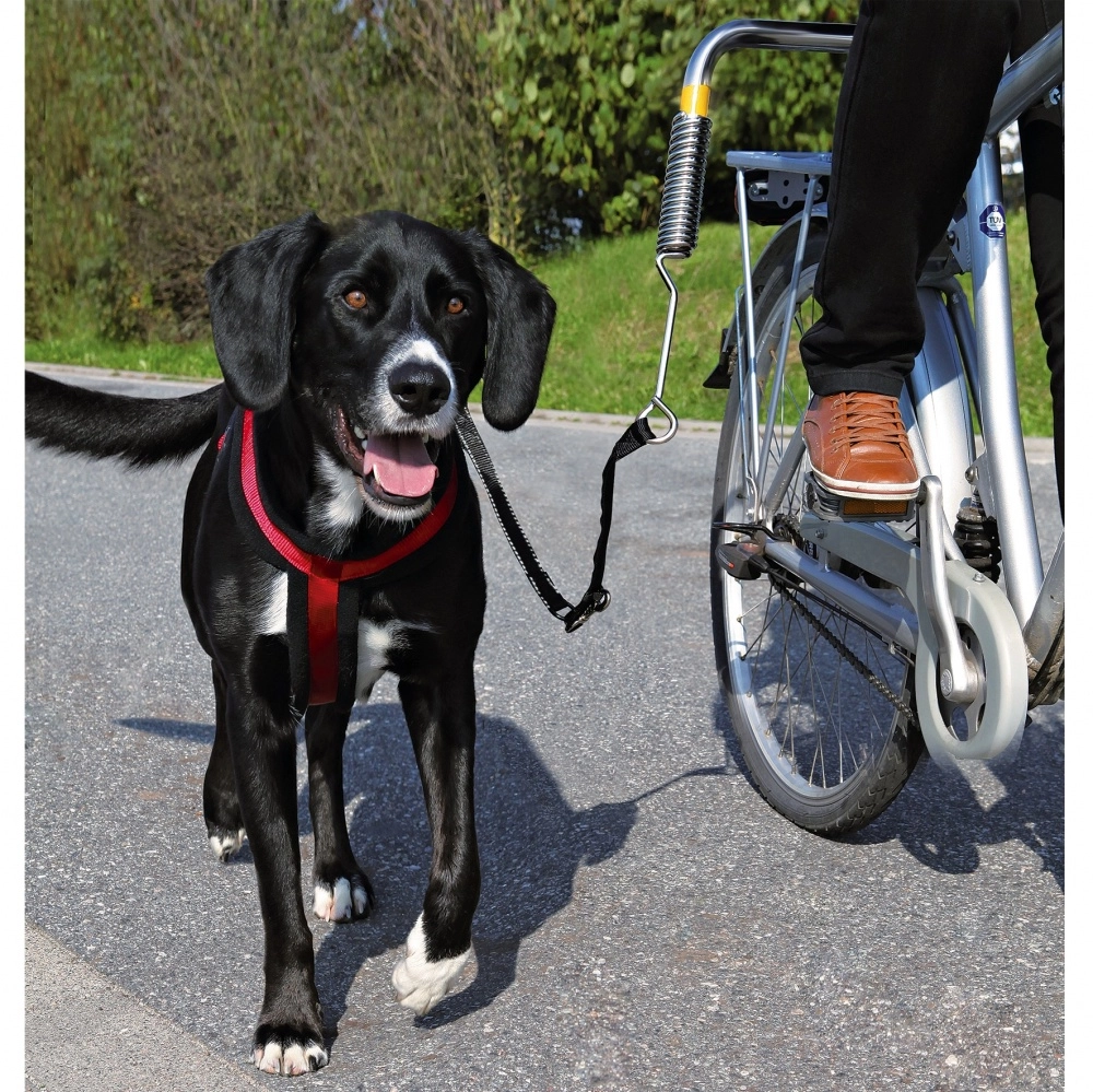 TRIXIE 1287 dog/cat lead Black  Silver