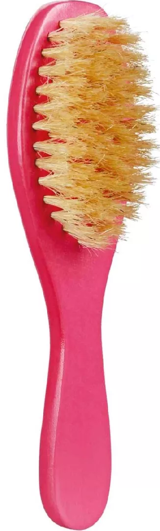 TRIXIE 23129 pet brushes and combs