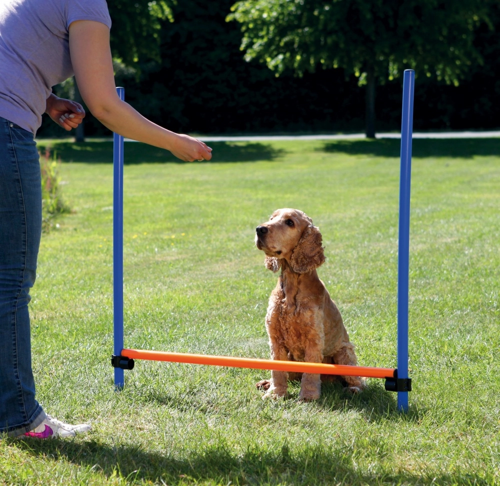 TRIXIE 3207 dog/cat agility equipment 3