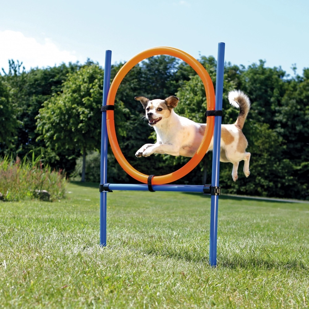 TRIXIE 3208 dog/cat agility equipment Blue