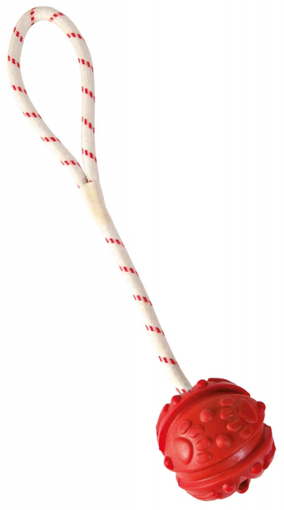 TRIXIE Aqua Toy Ball on Rope