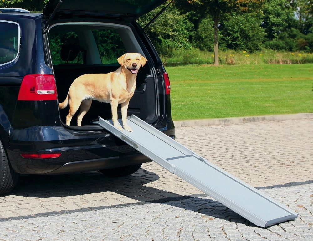 TRIXIE Petwalk Telescope Ramp TX-3940 4011905039404