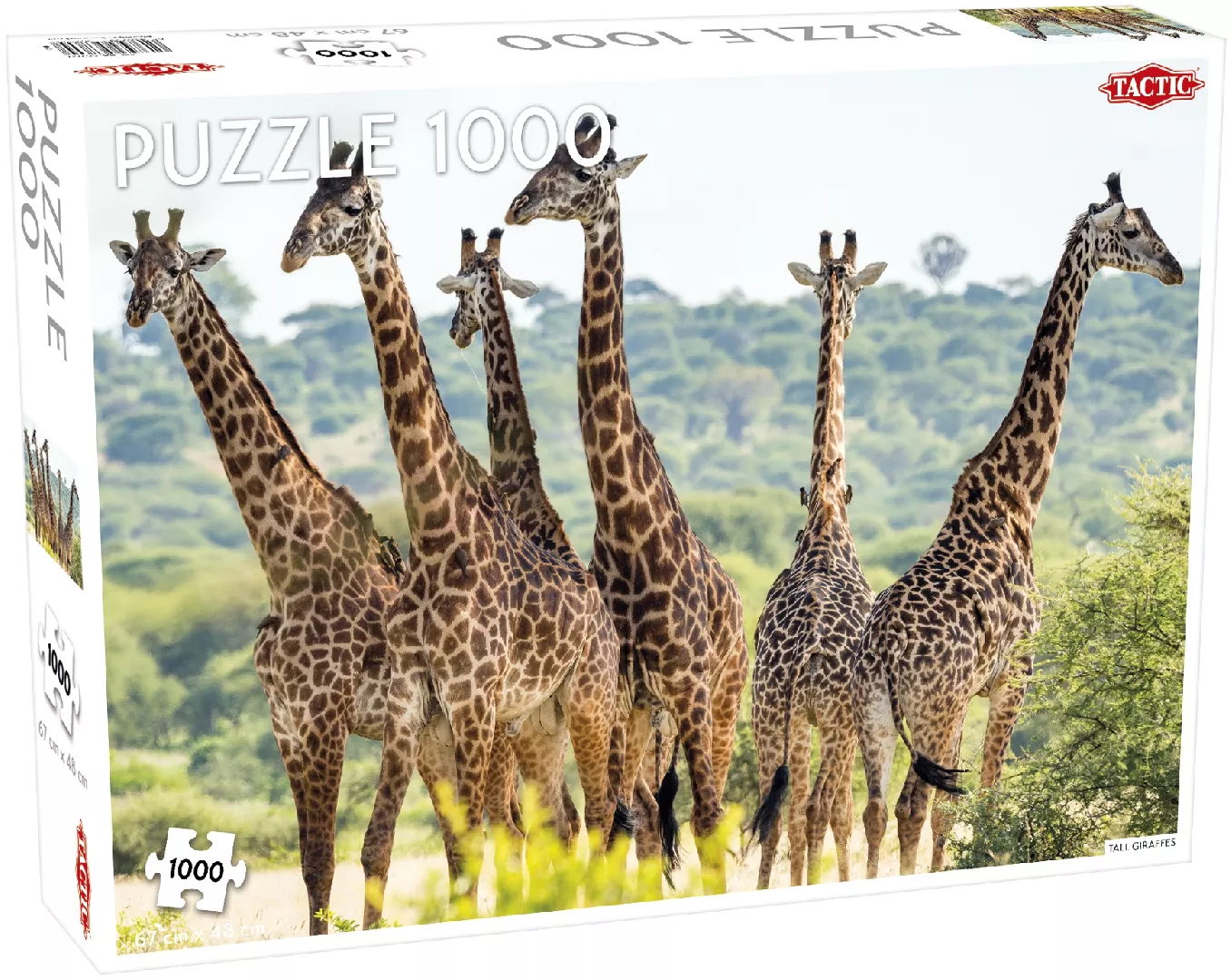 Tactic Animals: Tall Giraffes - 1000