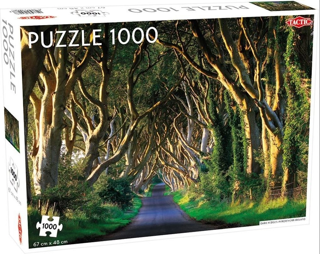 Tactic Dark Hedges in Northern Ireland