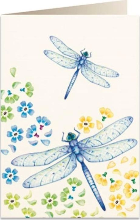 Tassotti B6 card + envelope 5763