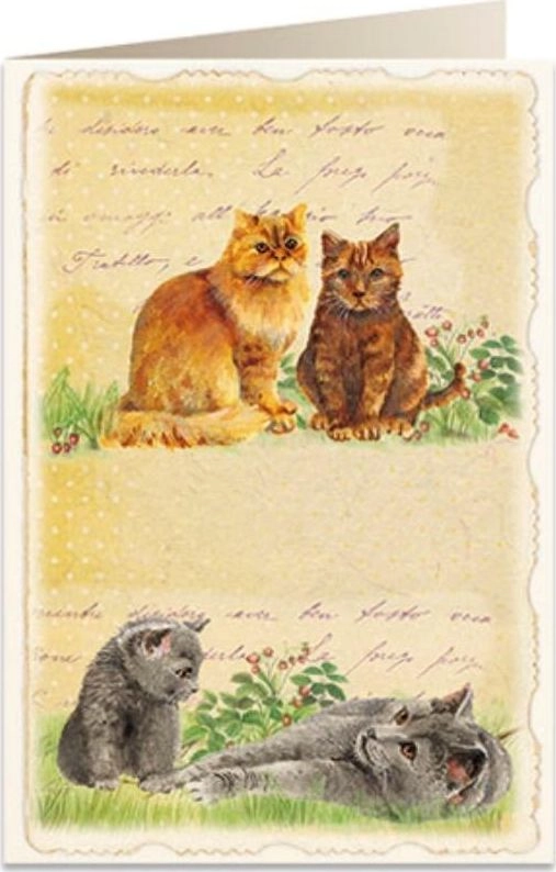 B6 pass + envelope 5904 Cats