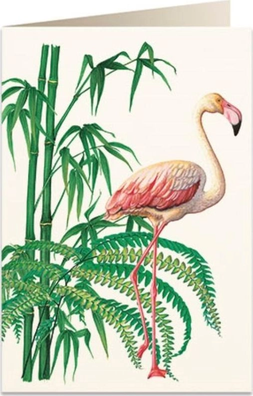 B6 pass + envelope 5929 Flamingo