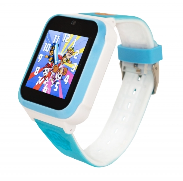 Paw Patrol Blue