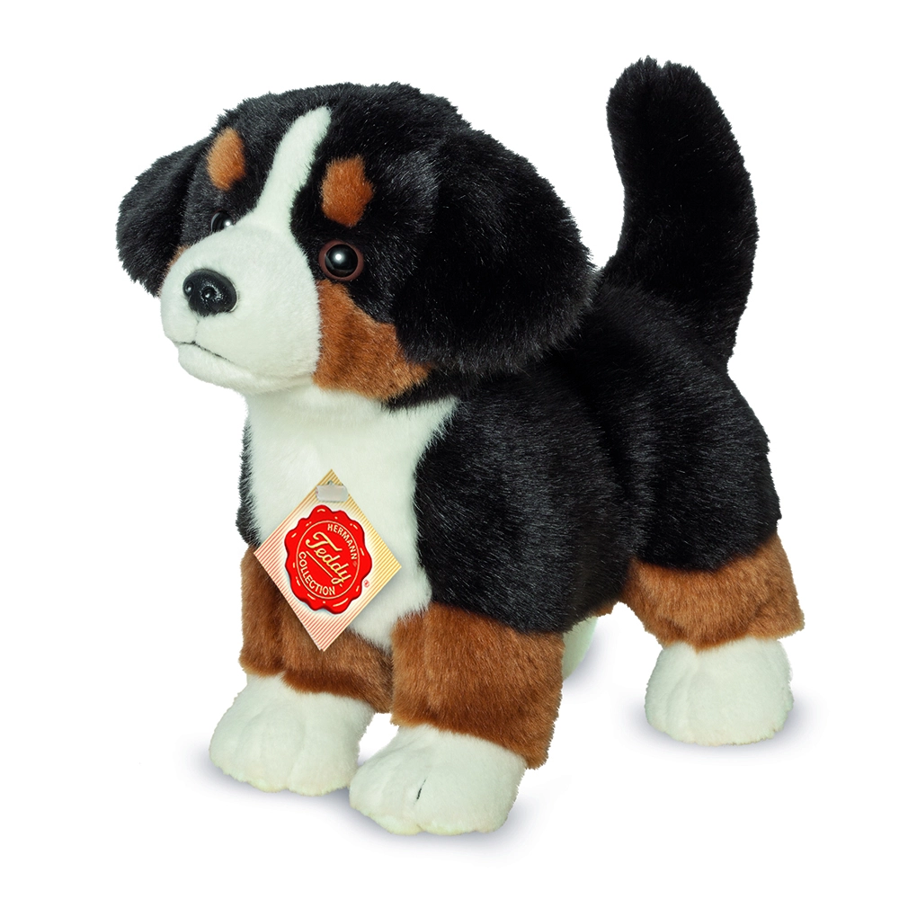 Teddy Hermann - Standing Bernese Mountain