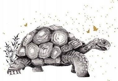 Card Gold square CL3820_BL Turtle 5060481574044
