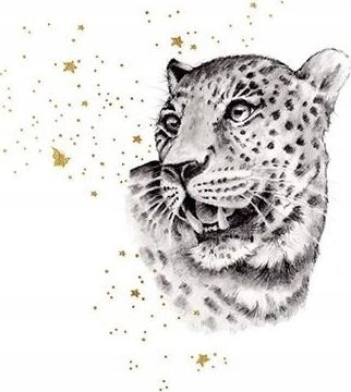 Pass Gold square CL3819_BL Cheetah 5060481577830