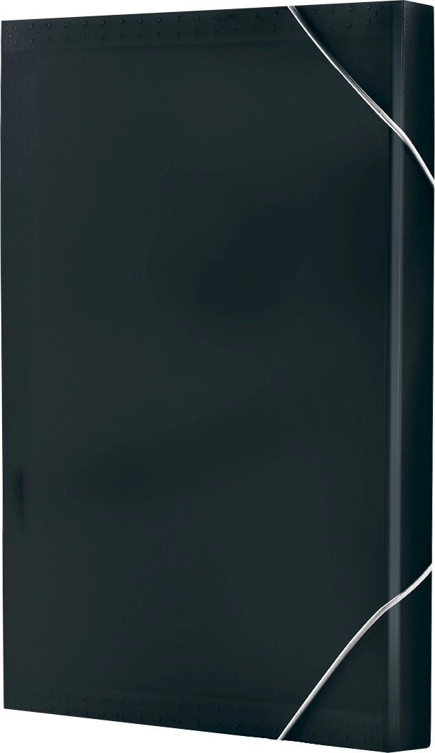 A4 accordion folder with elastic band