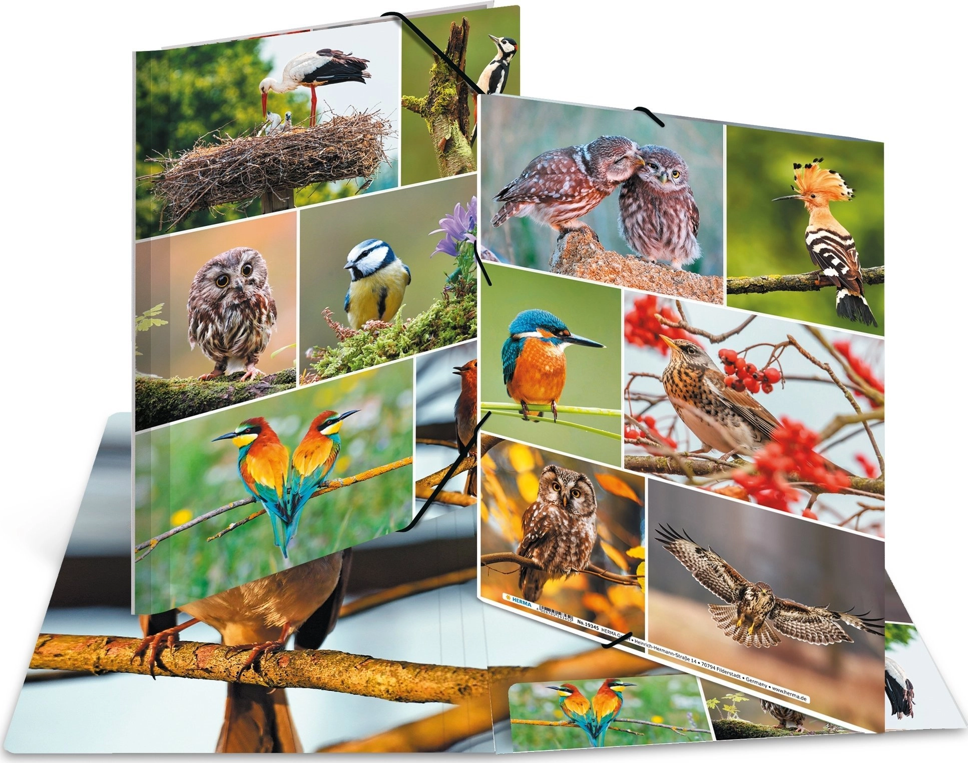 A4 folder with corner elastics -