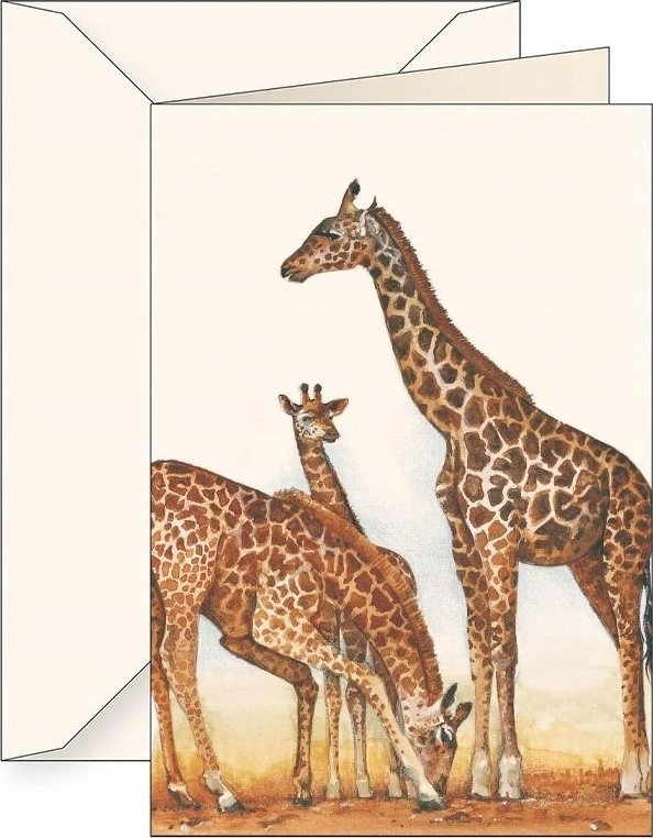B6 pass + envelope 7503 Giraffes