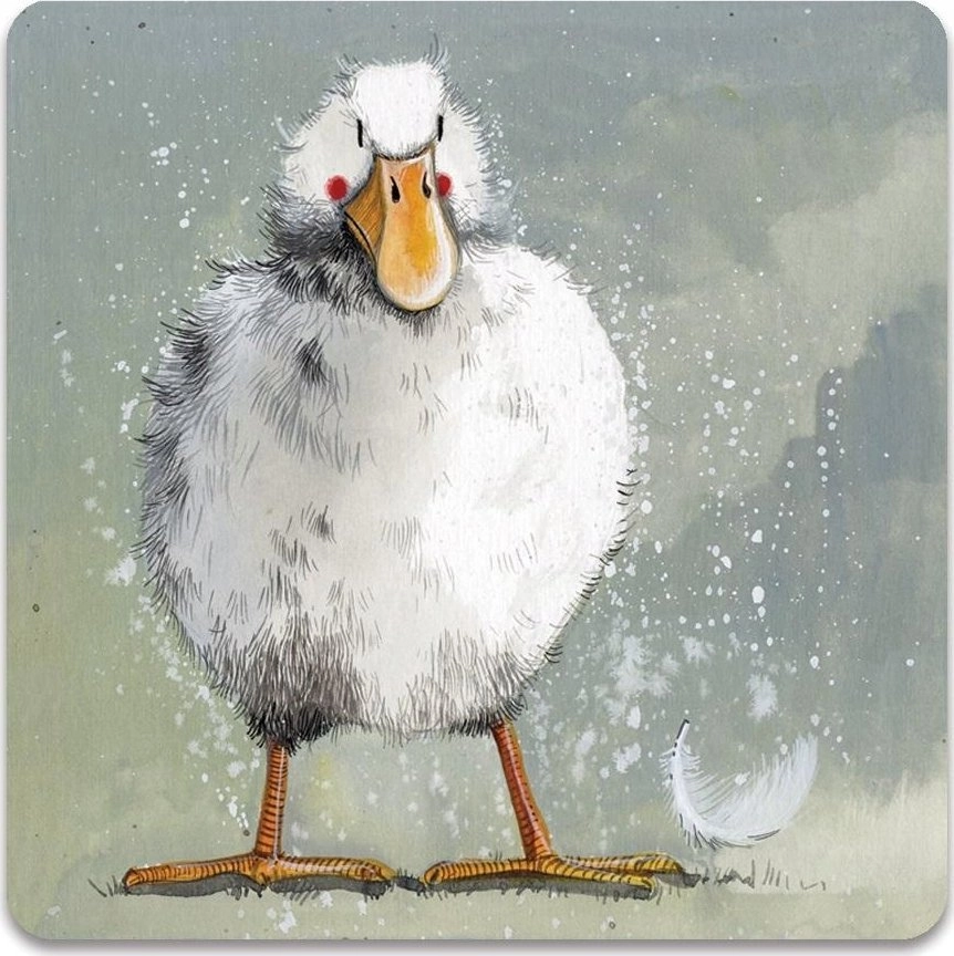 Magnet FM191 Duck and feather 5060108700740