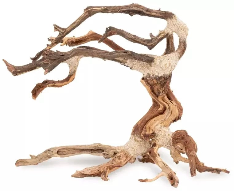 Tonące drzewo Bonsai nr nr 24