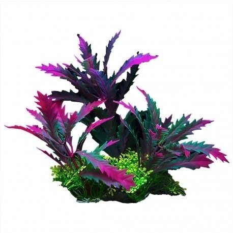Aqua Natura  plant  for aquarium decoration