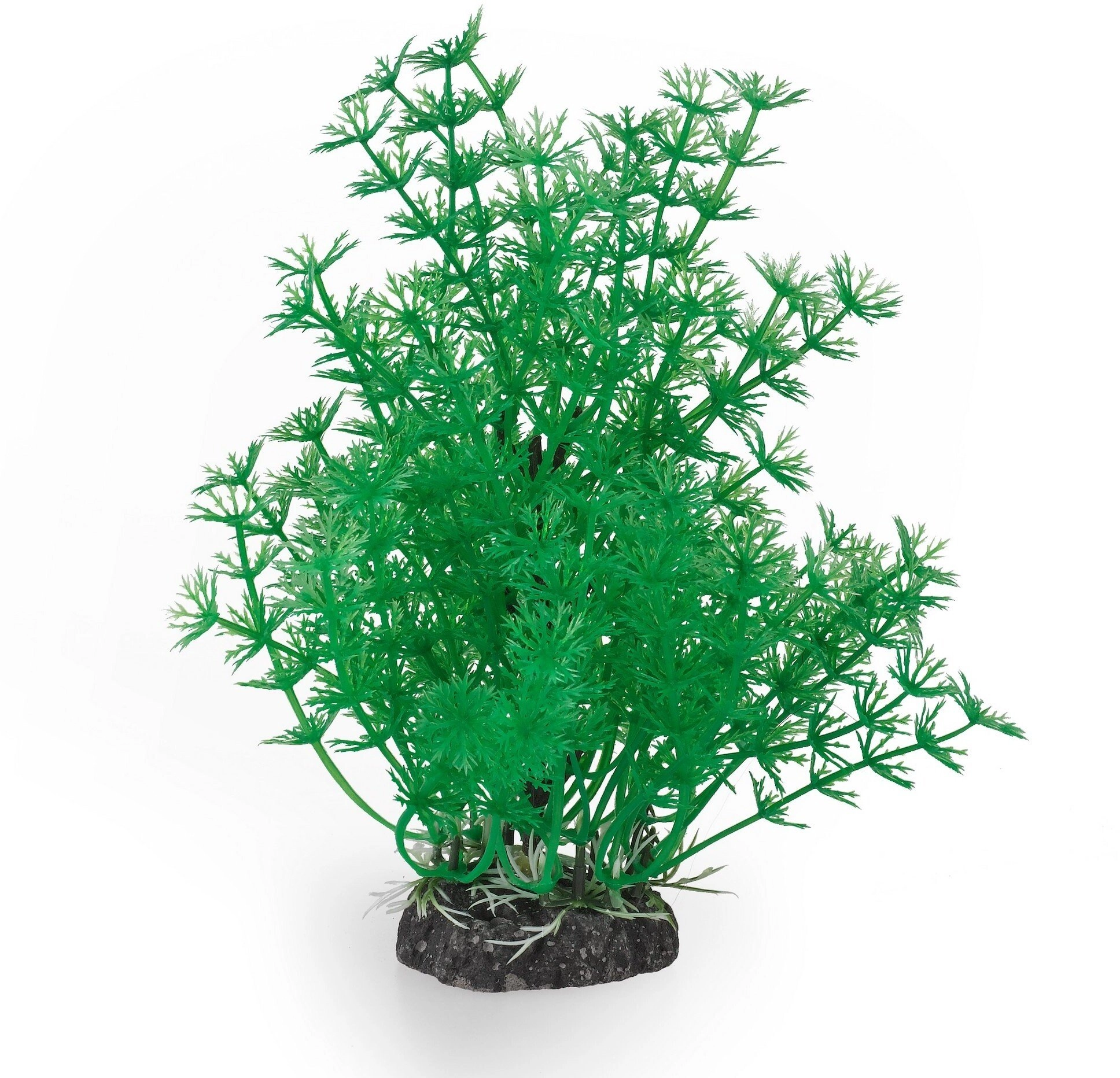 Aqua Natura plant for aquarium decoration