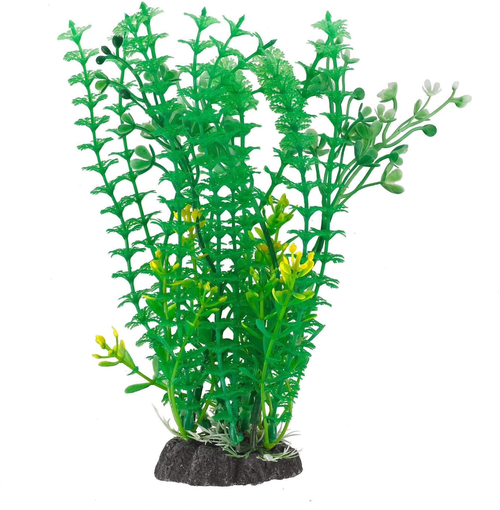 Aqua Natura  plant  for aquarium decoration
