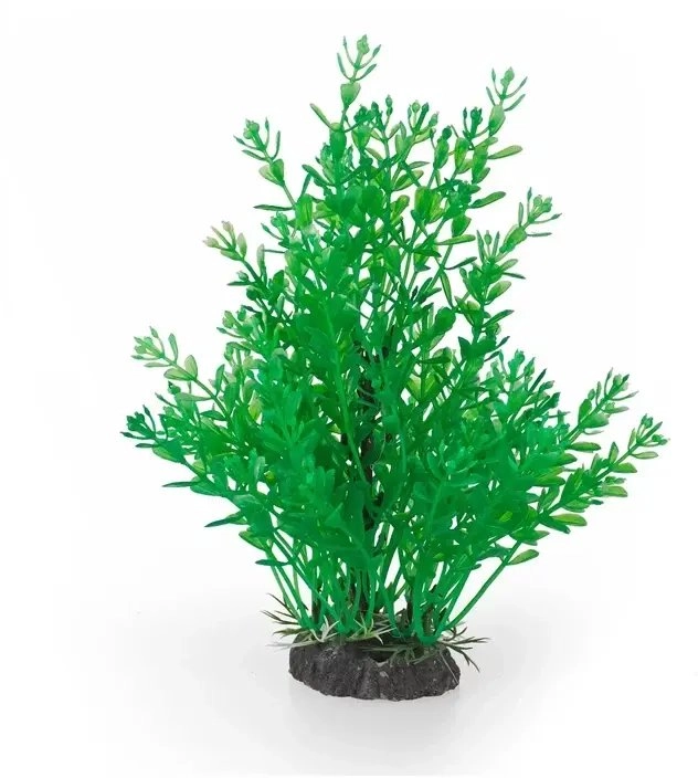 Aqua Natura  plant  for aquarium decoration