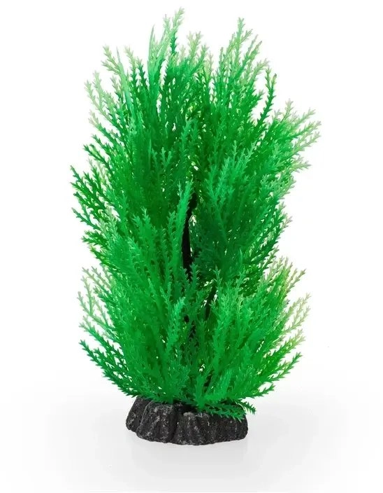 Aqua Natura  plant  for aquarium decoration